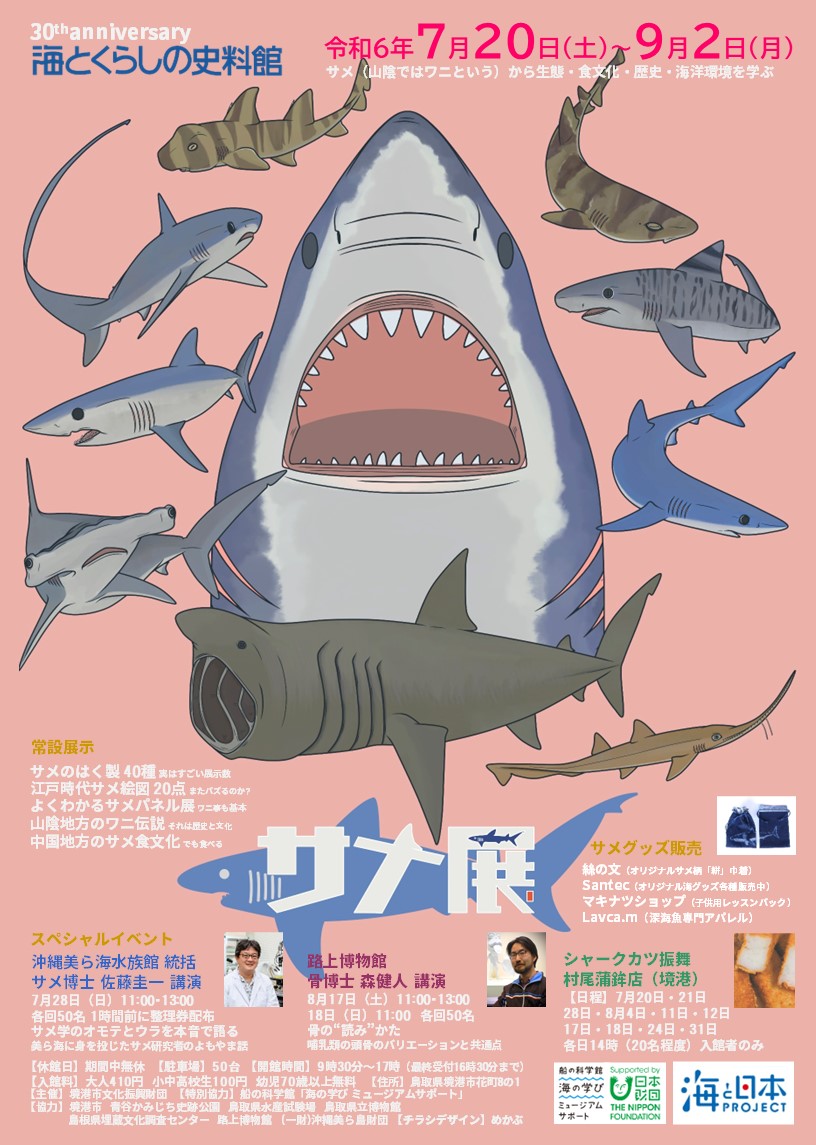 日本最大級の魚のはく製ミュージアム「海とくらしの史料館」 | Fish specimens and old japanese life museum